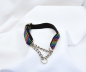 Preview: Martingal-Halsband, 2 cm